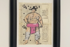 Assimilation_Sumo_IMG_1503